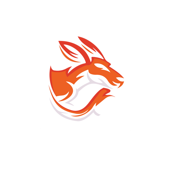 fast kangaroo